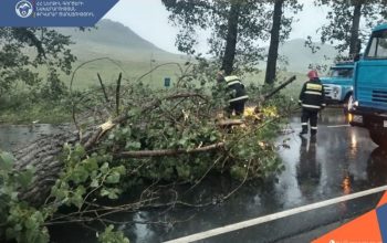 Из-за сильного ветра зарегистрировано 10 чрезвычайных происшествий