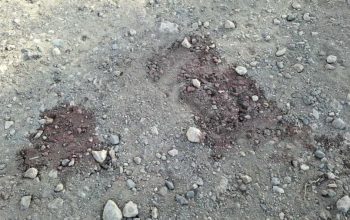 Реакции политических и общественных деятелей на убийство главы общины Паракар