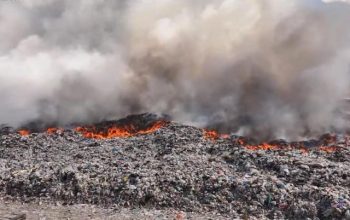 Учитывая катастрофическую ситуацию, сложившуюся из-за ядовитого смога, представляю вам шаги по защите от него. Кристина Варданян