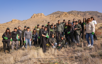 Зеленая инициатива Ucom продолжилась в Урцадзоре