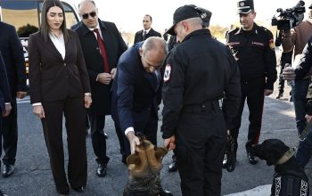 Мы ожидаем, что Полицейская гвардия станет качественно новой службой: премьер-министр принял участие в церемонии запуска Полицейской гвардии