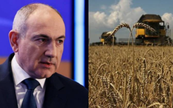 Какого качества пшеница была импортирована в Армению из Казахстана?