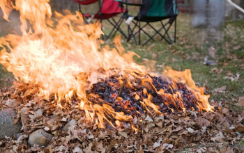 В отношении 74 граждан были применены меры ответственности: Инспекционный орган по охране природы и недр о проделанной работе по предотвращению возгораний