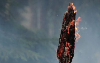 Не удаётся потушить пожар, вспыхнувший на территории Карвачара