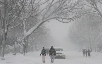 Метель, гололёд, местами снег. Дороги в основном проходимы
